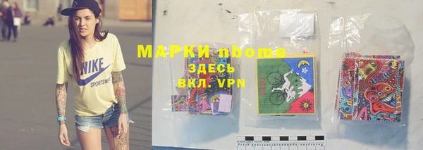 ГАЛЛЮЦИНОГЕННЫЕ ГРИБЫ Балахна