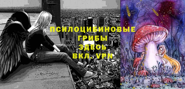 ГАЛЛЮЦИНОГЕННЫЕ ГРИБЫ Балахна