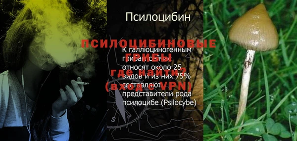 ГАЛЛЮЦИНОГЕННЫЕ ГРИБЫ Балахна